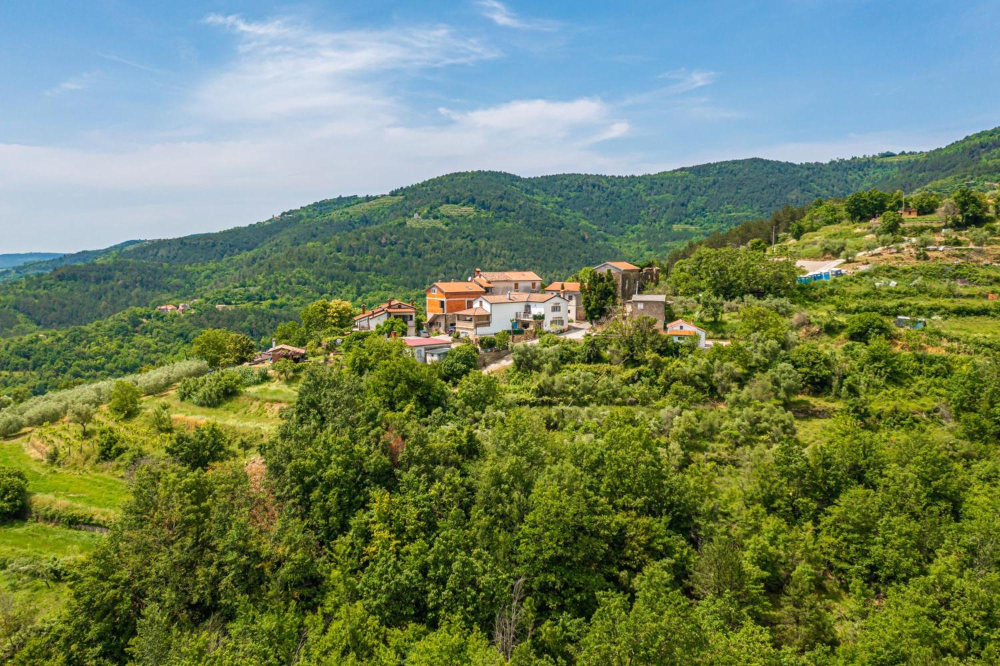 Holiday Home Belveder Motovun With Heated Pool Livade Ngoại thất bức ảnh