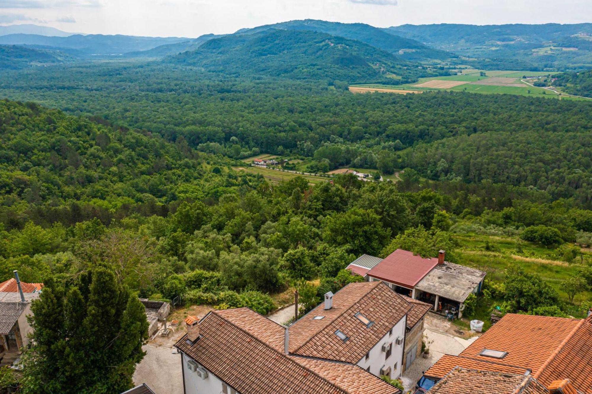 Holiday Home Belveder Motovun With Heated Pool Livade Ngoại thất bức ảnh